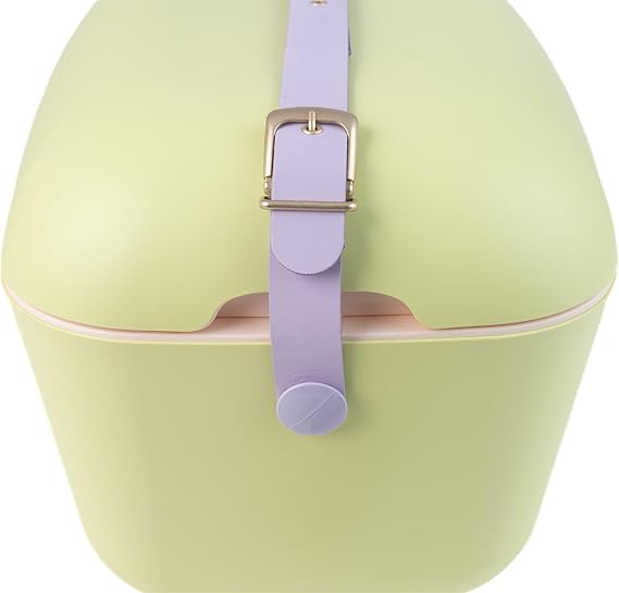 Polarbox 20 Liters Classic Cooler Box Lime - Lilac