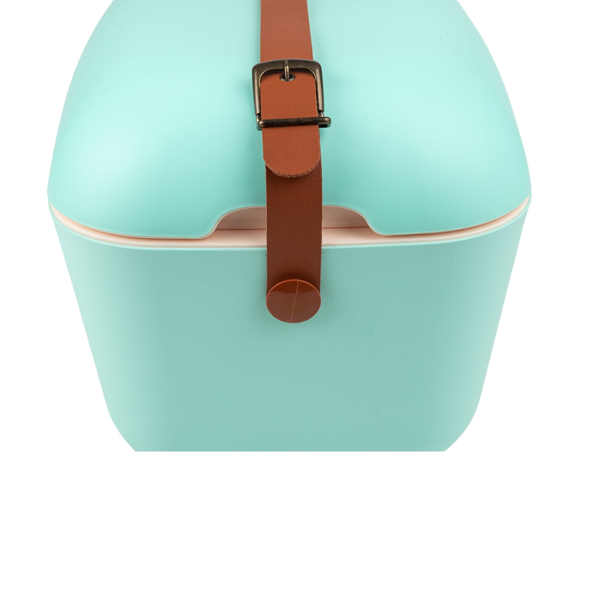 Polarbox 20 Liter Classic Cooler Box Cyan, Baby Rose
